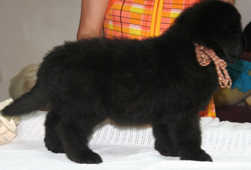  29.09.2012 -5 jpg.jpg