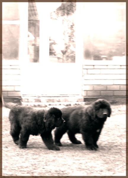  DSCN7662 с рамкой11.jpg