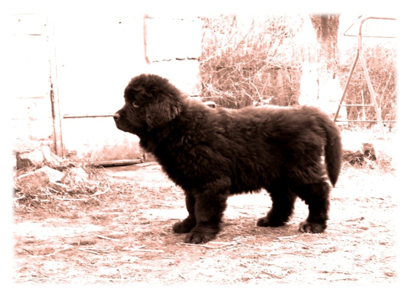  DSCN7664 в рамке.jpg