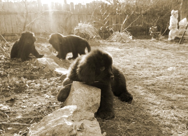  DSCN7677 испр.jpg