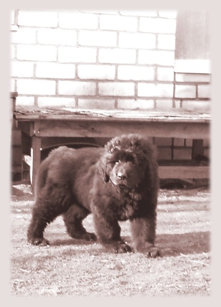  DSCN7679 с рамкой.jpg