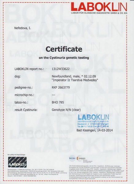  Царства медведей - сертификат на цистинурию 001.jpg