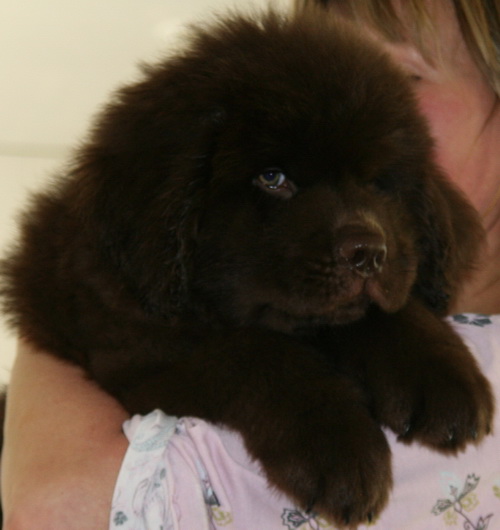 25.04.2014, Барни. - 4jpg.jpg