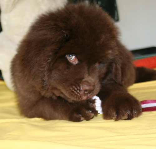 15.04.2014 Барни - 2.jpg