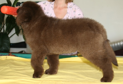 25.04.2014 готовимся к ССВ.jpg