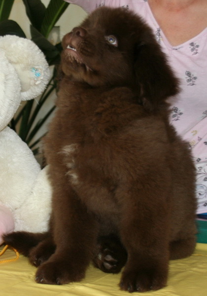 25.04.2014 Барни - 3.jpg