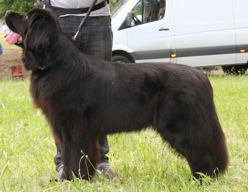 24.05.2014.jpg  2.jpg