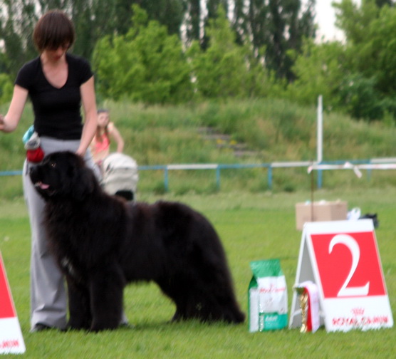  2 гр. - 2 место 24.-5..2014.jpg