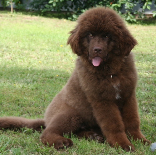 12.06.2014 Барни  7.jpg