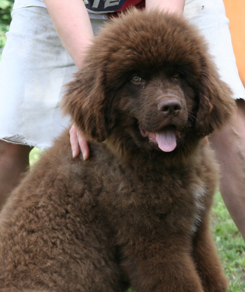 12.06.2014 Барни - 4.jpg