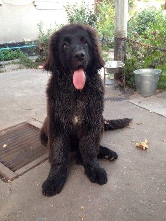 OmKTVMcCq-4 - копия.jpg