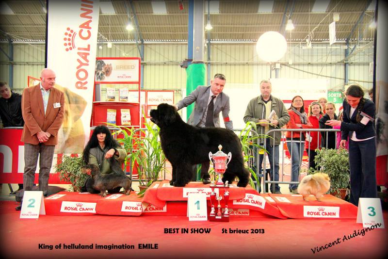 King of Helluland IMAGINATION.jpg