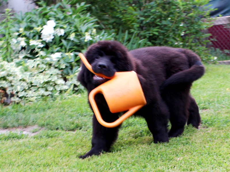  отвр качество.jpg