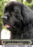 Vodogray Vialiki Miadzvedz Vodogray Vialiki Miadzvedz