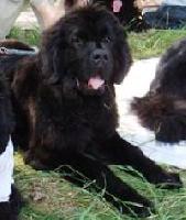 Topgallant's Aquarelle Topgallant's Aquarelle