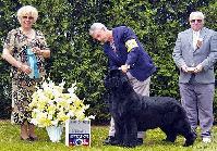 Pouch Coves Casts Its Vote Pouch Coves Casts Its Vote