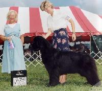 Cayuga Cheyenne at Robber Baron Cayuga Cheyenne at Robber Baron