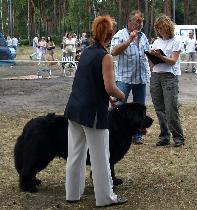 "�������� �������-2009"