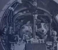 � ������ ������� ����