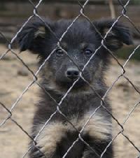 ���� ������ ��������