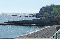 ��������� �������� - 2009�