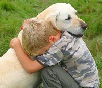 �������� �������� �����