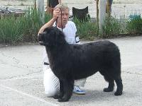 Chajka Bolshoj Malysh Chajka Bolshoj Malysh