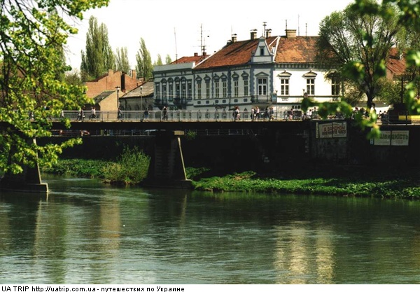 "����������-2009"