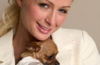 ����� ����� ������