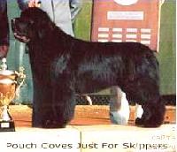 Pouch Cove’s Just For Skipper’s Pouch Cove’s Just For Skipper’s