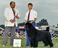 Muddy Creeks Sun Valley Best Man Muddy Creeks Sun Valley Best Man
