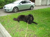 Uff Big Friend Uff Big Friend