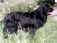 Mona Neptun Mona Neptun