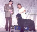 Midnight Lady's Diorissimo Midnight Lady's Diorissimo