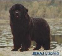 Jehaj Ludvig Jehaj Ludvig