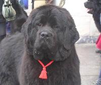 Arh Beauty Ot Chary Pervaya Arh Beauty Ot Chary Pervaya