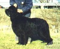 Toad Halls Secret Garden Toad Halls Secret Garden