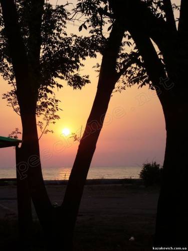 "�������� ���� 2009"