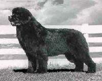 Main Tickle Forbidden Planet Main Tickle Forbidden Planet