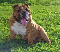 � ��� �����?