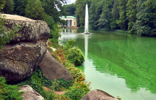 �����-2009