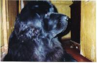 Brajt Nordaj Jut Brajt Nordaj Jut