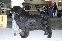 Sweet Riverdance Commotion Sweet Riverdance Commotion