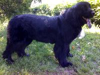 Alana Viva Jeniz Alana Viva Jeniz