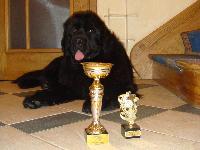 Skipper's Never Look Back Skipper's Never Look Back