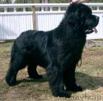 Absolute Power Of Apachees Home Absolute Power Of Apachees Home