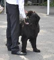 Chara Black Quest Morskoy Medved Chara Black Quest Morskoy Medved