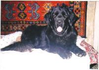 Sabina Bolshoy Malysh Sabina Bolshoy Malysh