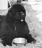 Pouch Cove's Favorite Son Pouch Cove's Favorite Son