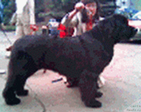 Virtuous Boatswain Gabriel Virtuous Boatswain Gabriel